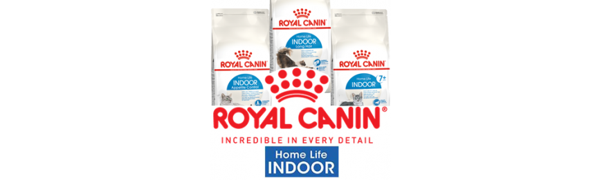[ROYAL CANIN 法國皇家] Home Life INDOOR 室內貓系列